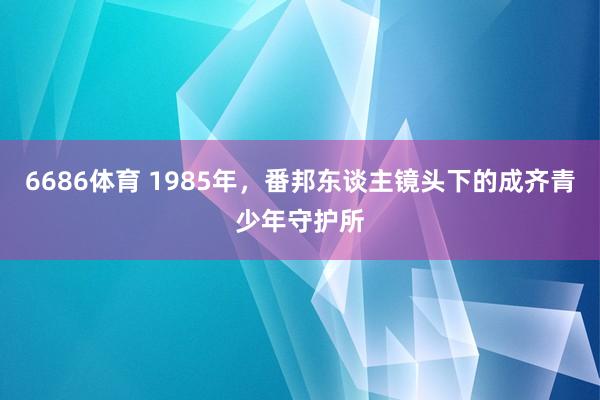 6686体育 1985年，番邦东谈主镜头下的成齐青少年守护所