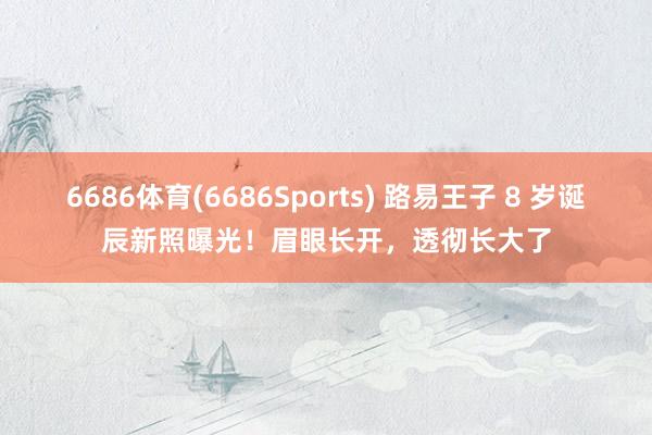 6686体育(6686Sports) 路易王子 8 岁诞辰新照曝光！眉眼长开，透彻长大了