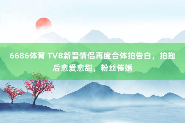 6686体育 TVB新晋情侣再度合体拍告白，拍拖后愈爱愈甜，粉丝催婚