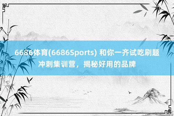 6686体育(6686Sports) 和你一齐试吃刷题冲刺集训营，揭秘好用的品牌