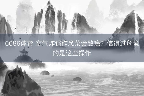 6686体育 空气炸锅作念菜会致癌？信得过危境的是这些操作